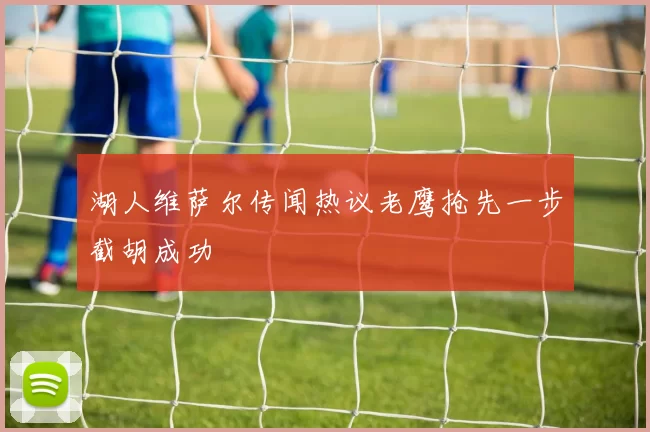 湖人维萨尔传闻热议老鹰抢先一步截胡成功